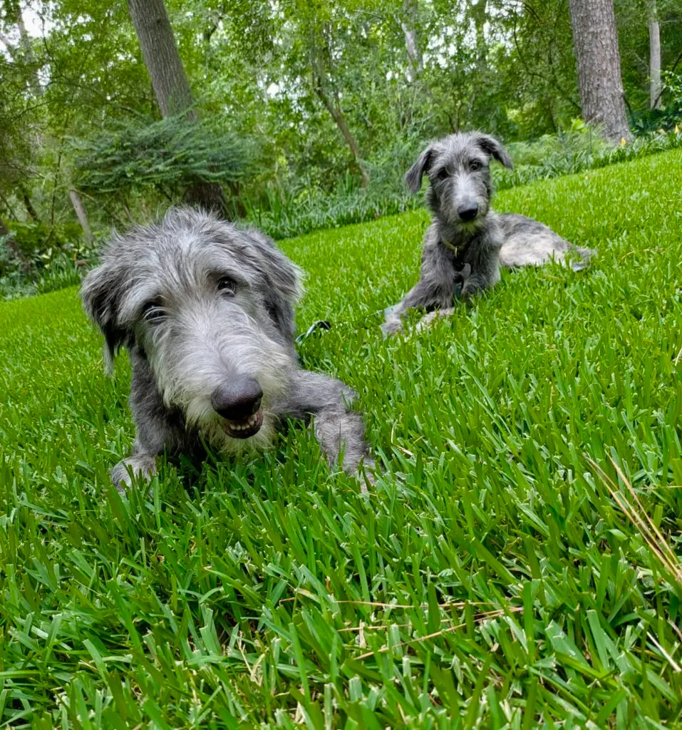 201938834140150736 (2)