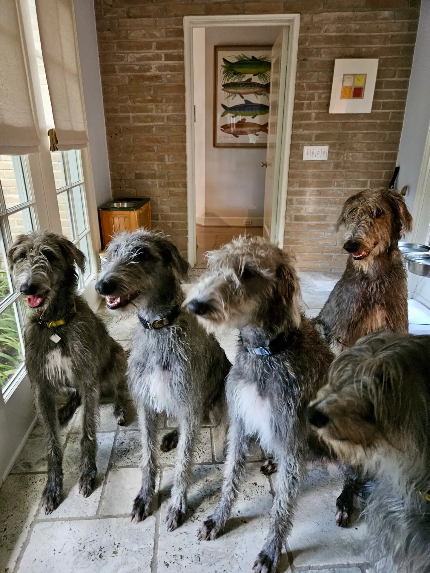 98fbf196-04c9-49d7-8b58-e4bcd5fe0bef