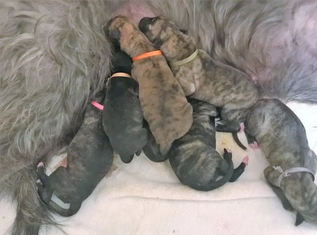 imgi_170_7b1c79_03ff6acdb1ac405281ec1717131b8e95~mv2_d_3420_2566_s_4_2