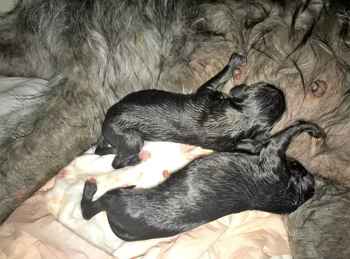 imgi_171_7b1c79_77c2cc63472e4f25b4864a86281b4d61~mv2_d_4032_3024_s_4_2