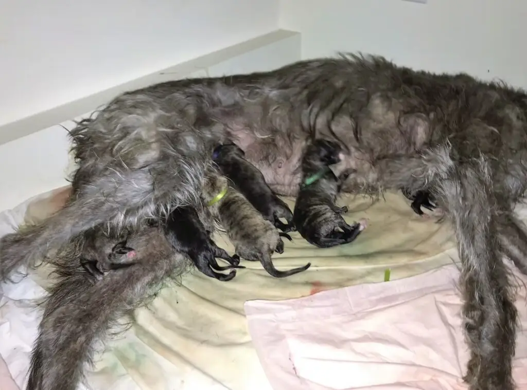 imgi_175_7b1c79_bf239844e4b748308b993e0e89b50e2b~mv2_d_4032_3024_s_4_2