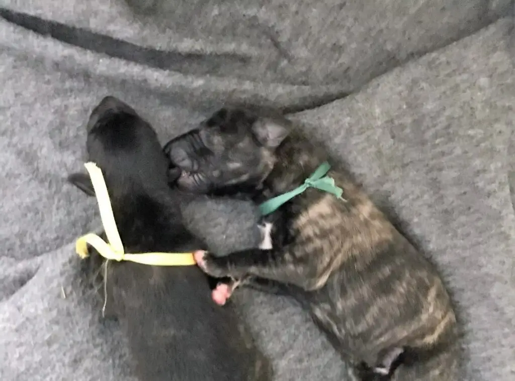 imgi_178_7b1c79_2c4def0b0b0249918543130f1c1149e9~mv2_d_3024_4032_s_4_2