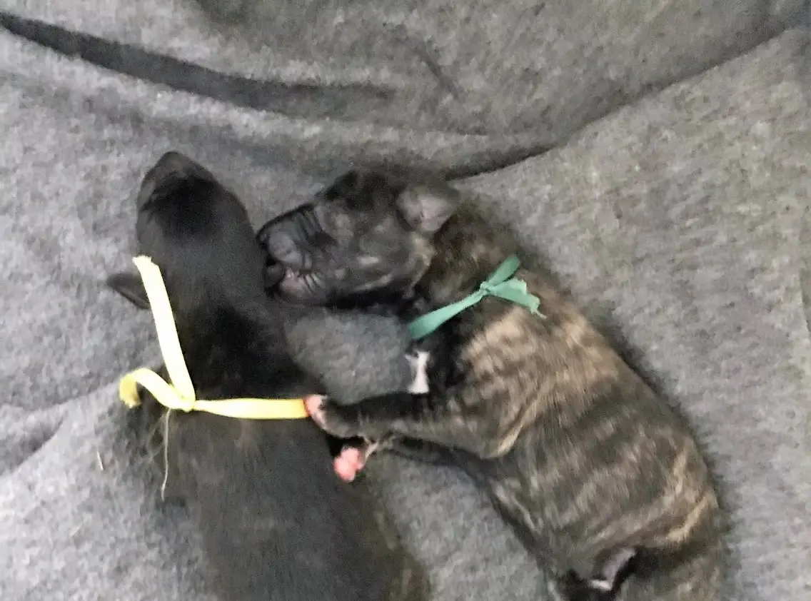 imgi_178_7b1c79_2c4def0b0b0249918543130f1c1149e9~mv2_d_3024_4032_s_4_2