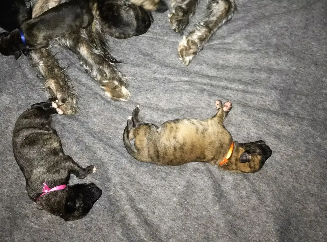 imgi_179_7b1c79_dda33df9a3564e5493fc5cf97138b6ae~mv2_d_3024_4032_s_4_2