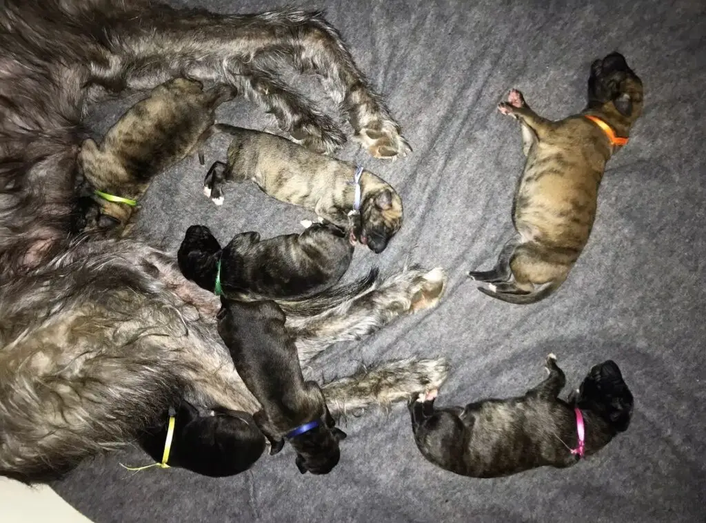 imgi_180_7b1c79_8132ed37b6e74c089c62cd313a04c121~mv2_d_4032_3024_s_4_2