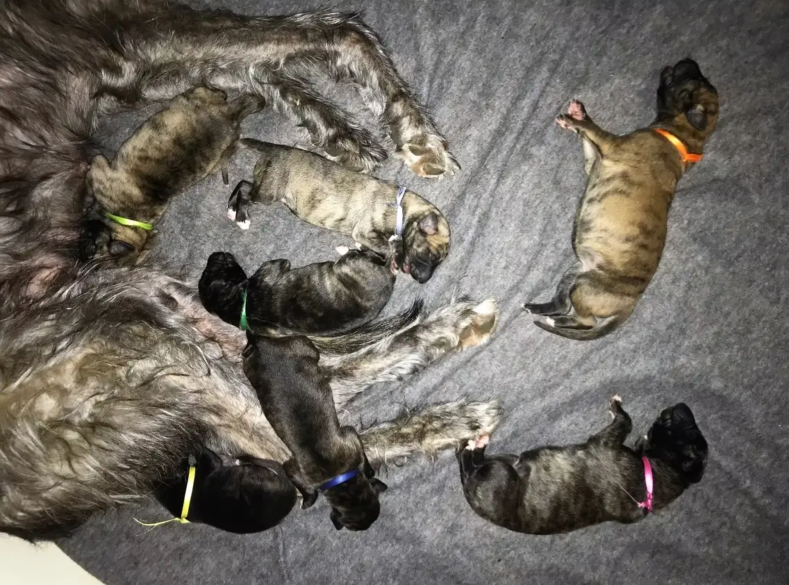 imgi_180_7b1c79_8132ed37b6e74c089c62cd313a04c121~mv2_d_4032_3024_s_4_2