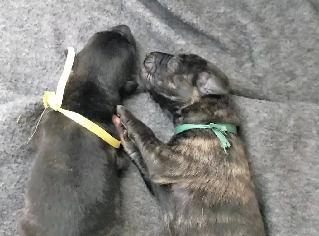 imgi_182_7b1c79_a0b1c1cf54e647dd8523c269bbae7710~mv2_d_3024_4032_s_4_2