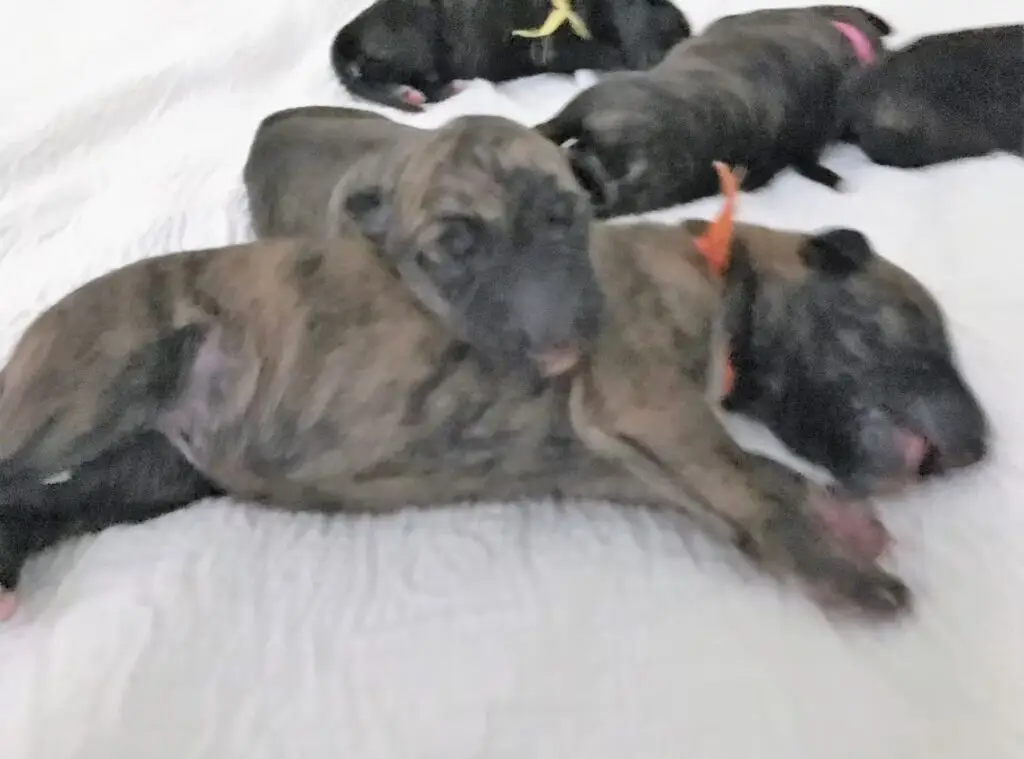 imgi_183_7b1c79_5a786333e626437ca8bc5f82fc062a67~mv2_d_4032_3024_s_4_2