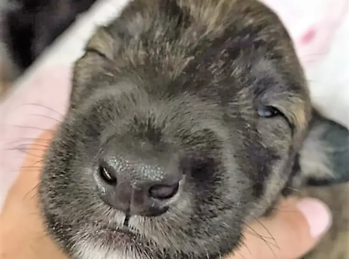 imgi_184_7b1c79_db71bd0a94684df48c5dcd4fbec7bd85~mv2