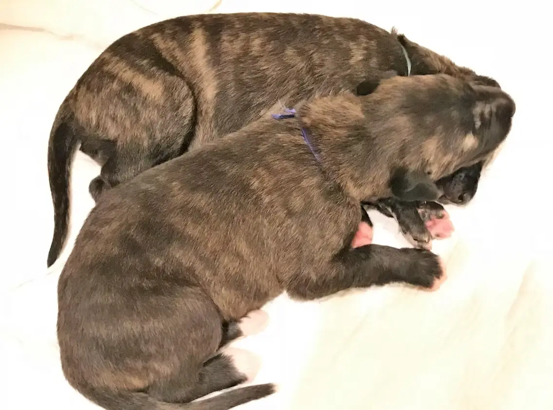 imgi_186_7b1c79_a3b75d4be866483687d8bb0aab36fc1f~mv2_d_4032_3024_s_4_2