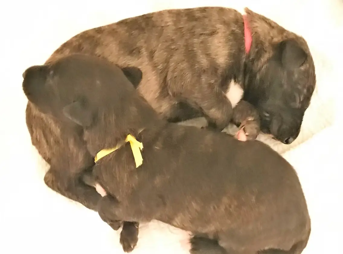 imgi_188_7b1c79_014ca2bdd665494f8ed4a17861138584~mv2_d_4032_3024_s_4_2