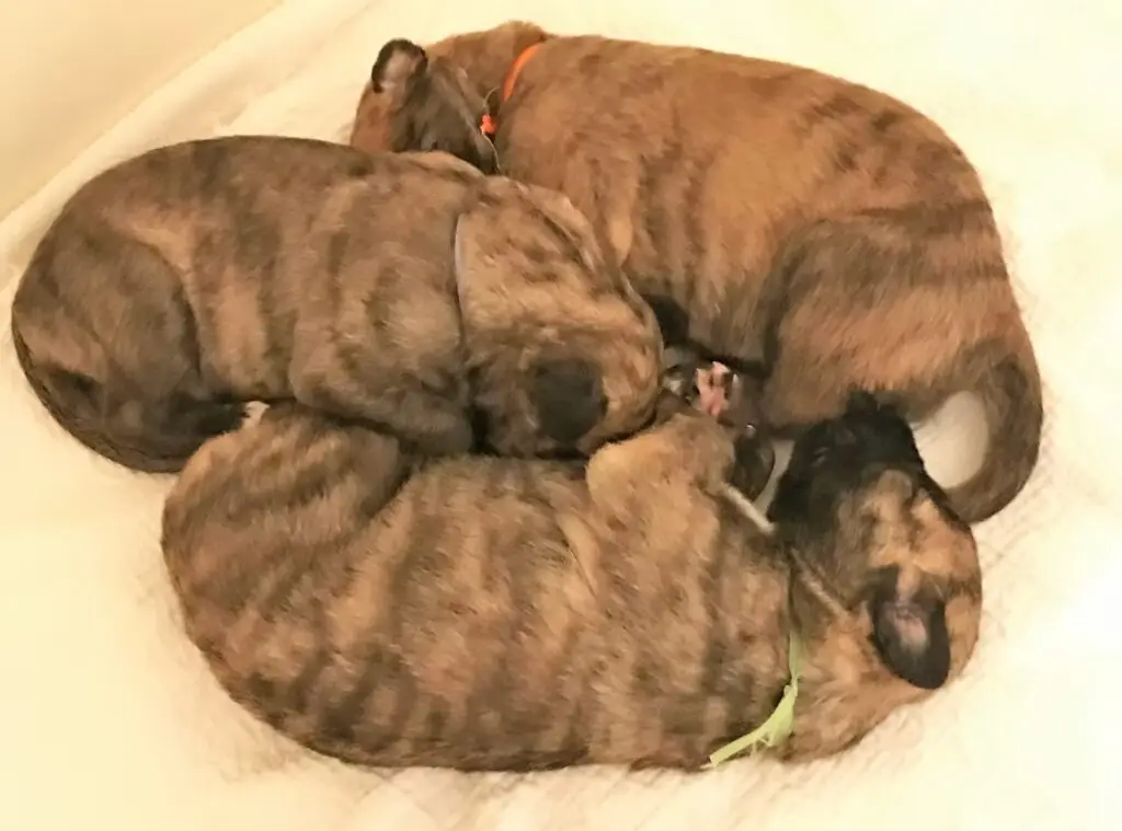 imgi_189_7b1c79_cd54472982324372ad9a7ded2997a0dc~mv2_d_4032_3024_s_4_2