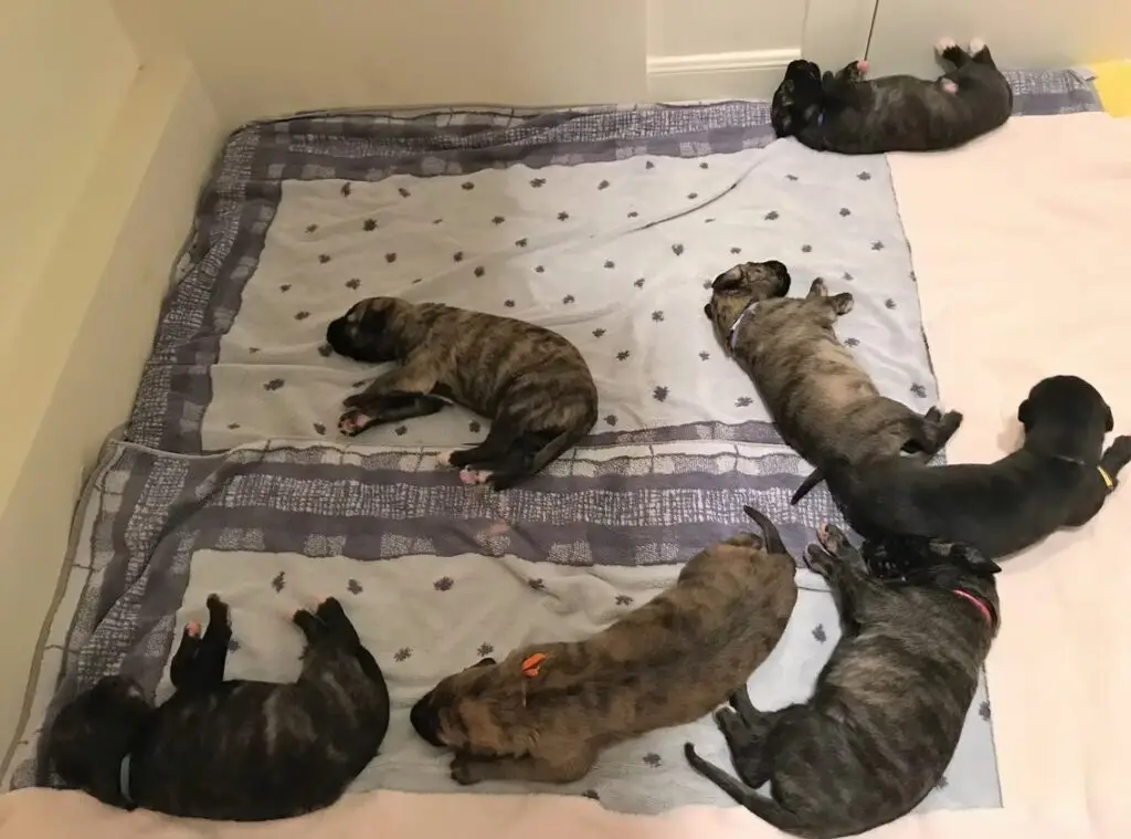 imgi_190_7b1c79_45c0d5071d6c4262871a569397d35614~mv2_d_4032_3024_s_4_2