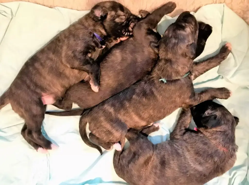 imgi_191_7b1c79_4d583f5191e54359b0d3783c70a75a86~mv2_d_4032_3024_s_4_2