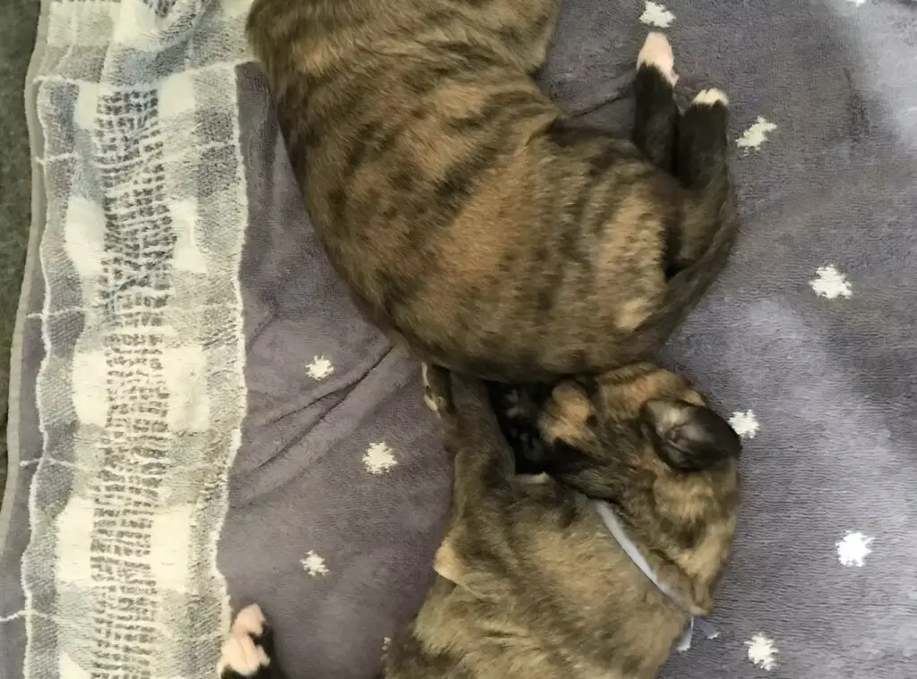 imgi_192_7b1c79_4e53ceda3283449fab8cd13777099dbd~mv2_d_3024_4032_s_4_2