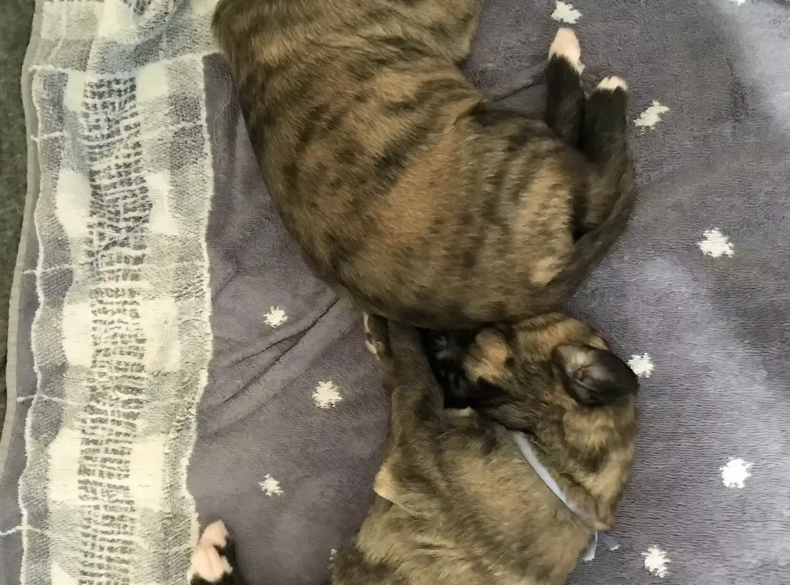 imgi_192_7b1c79_4e53ceda3283449fab8cd13777099dbd~mv2_d_3024_4032_s_4_2