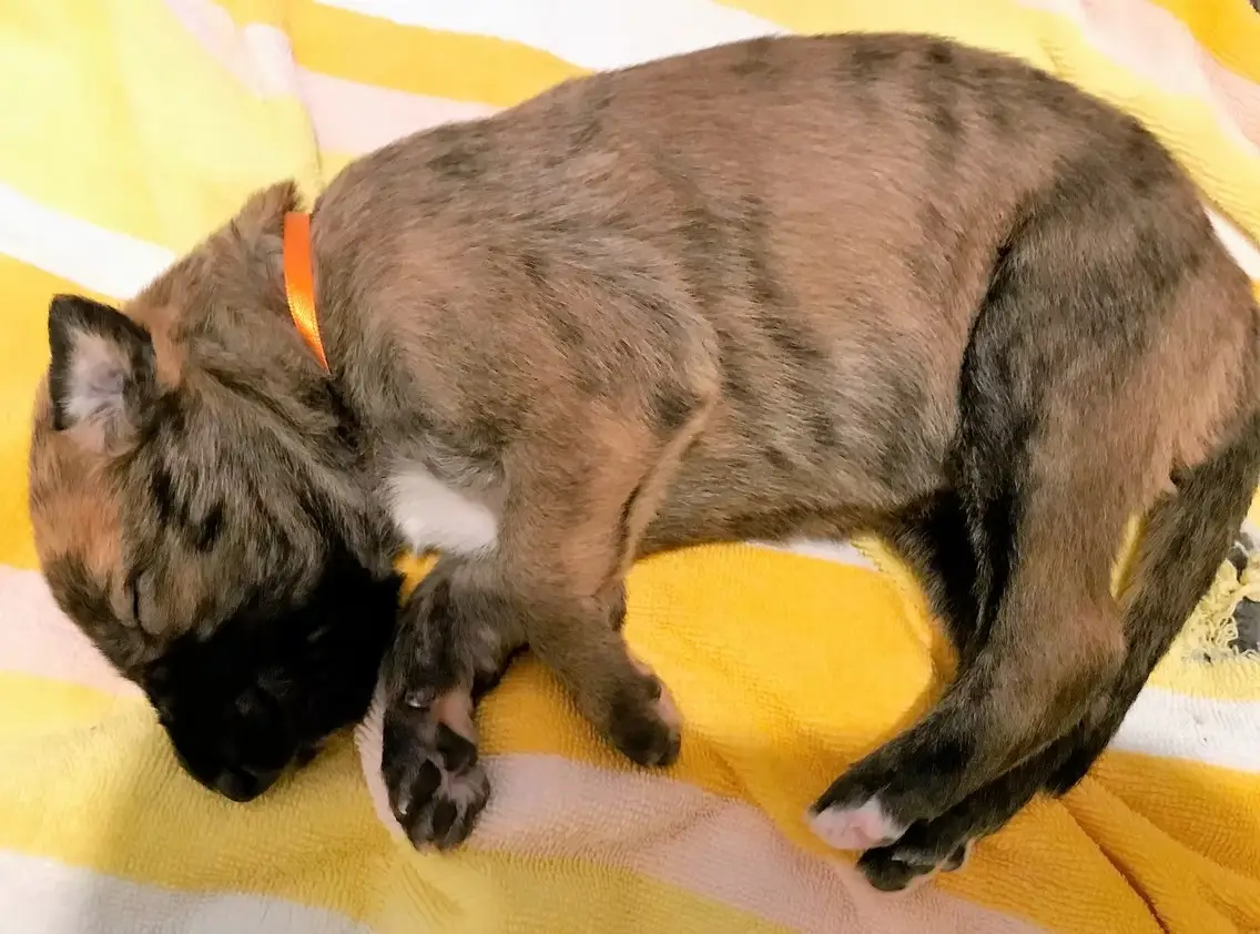 imgi_194_7b1c79_583e62040d584d7eb17e95c886720e46~mv2_d_4032_3024_s_4_2