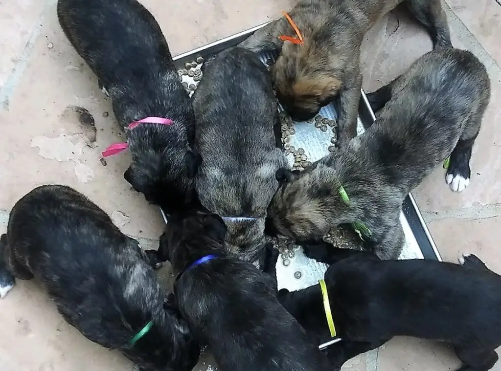 imgi_197_7b1c79_803d5780b83542b48f519c152d26854f~mv2