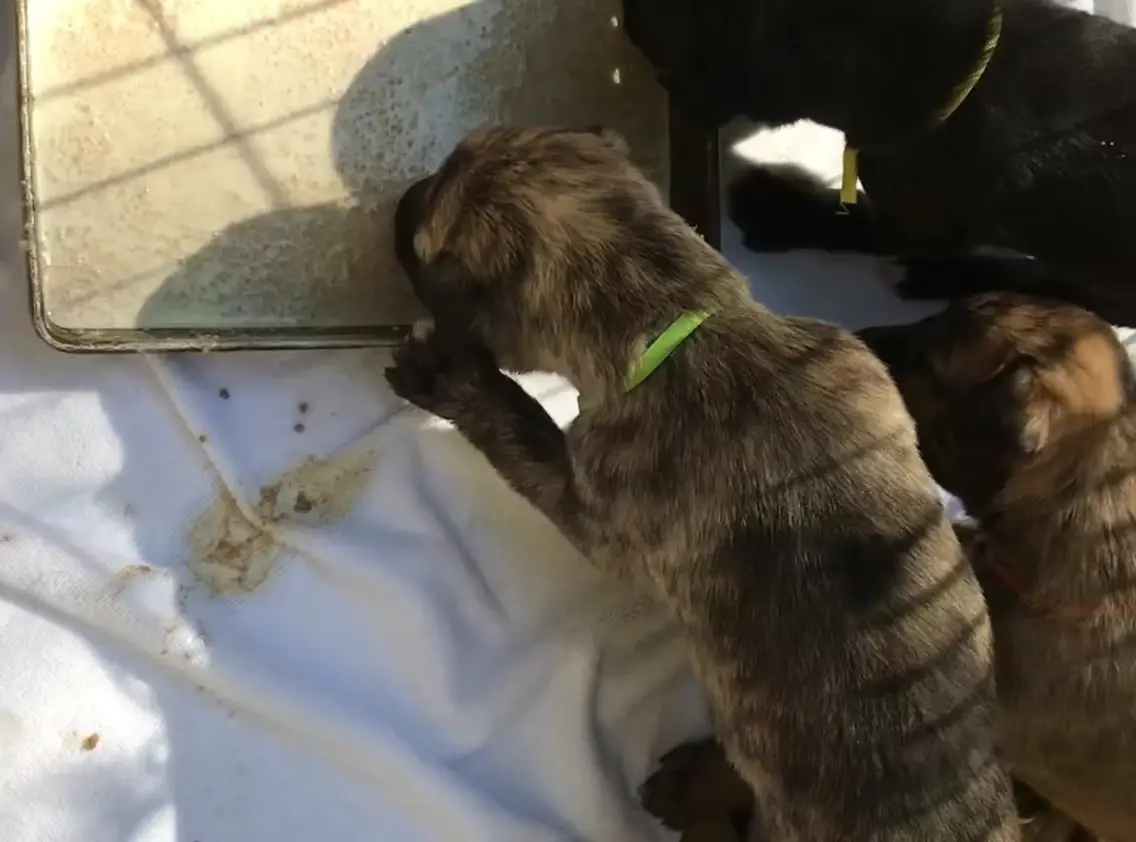 imgi_200_7b1c79_4440c293534b4e6986c5be87ad3cc820f003