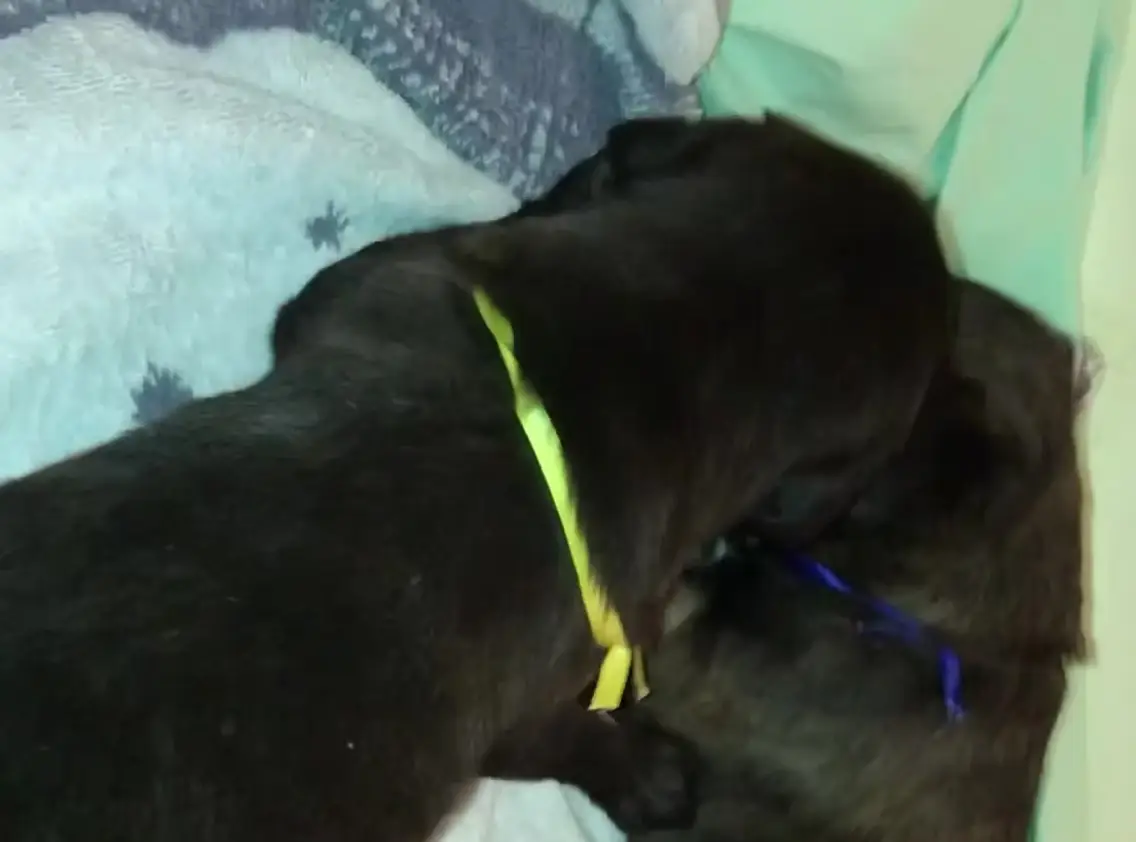 imgi_202_7b1c79_1dfc50c8dc0c4d10868045f3e3c0b2a3f003