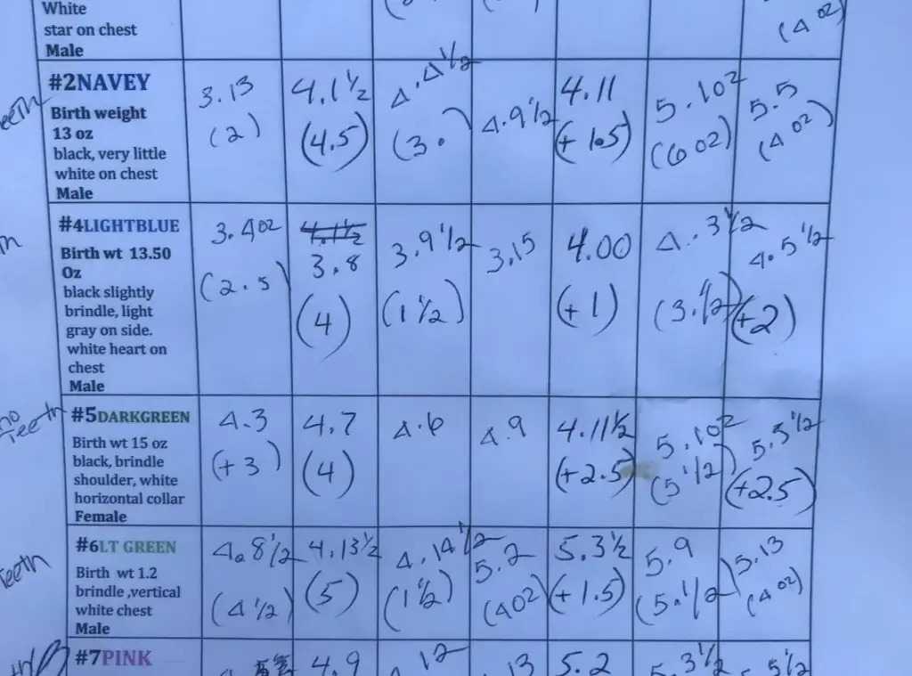 imgi_203_7b1c79_02983ed4f72347fe9b5d52b92af33ee4~mv2_d_3024_4032_s_4_2