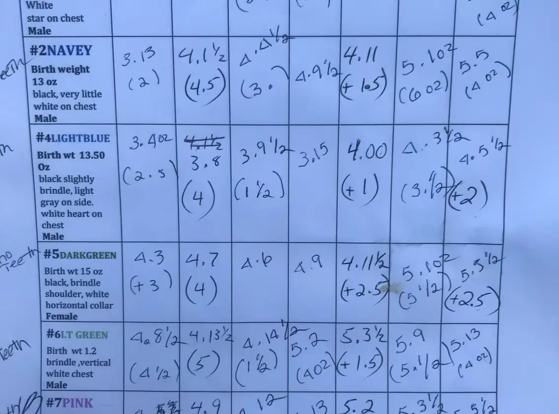 imgi_203_7b1c79_02983ed4f72347fe9b5d52b92af33ee4~mv2_d_3024_4032_s_4_2