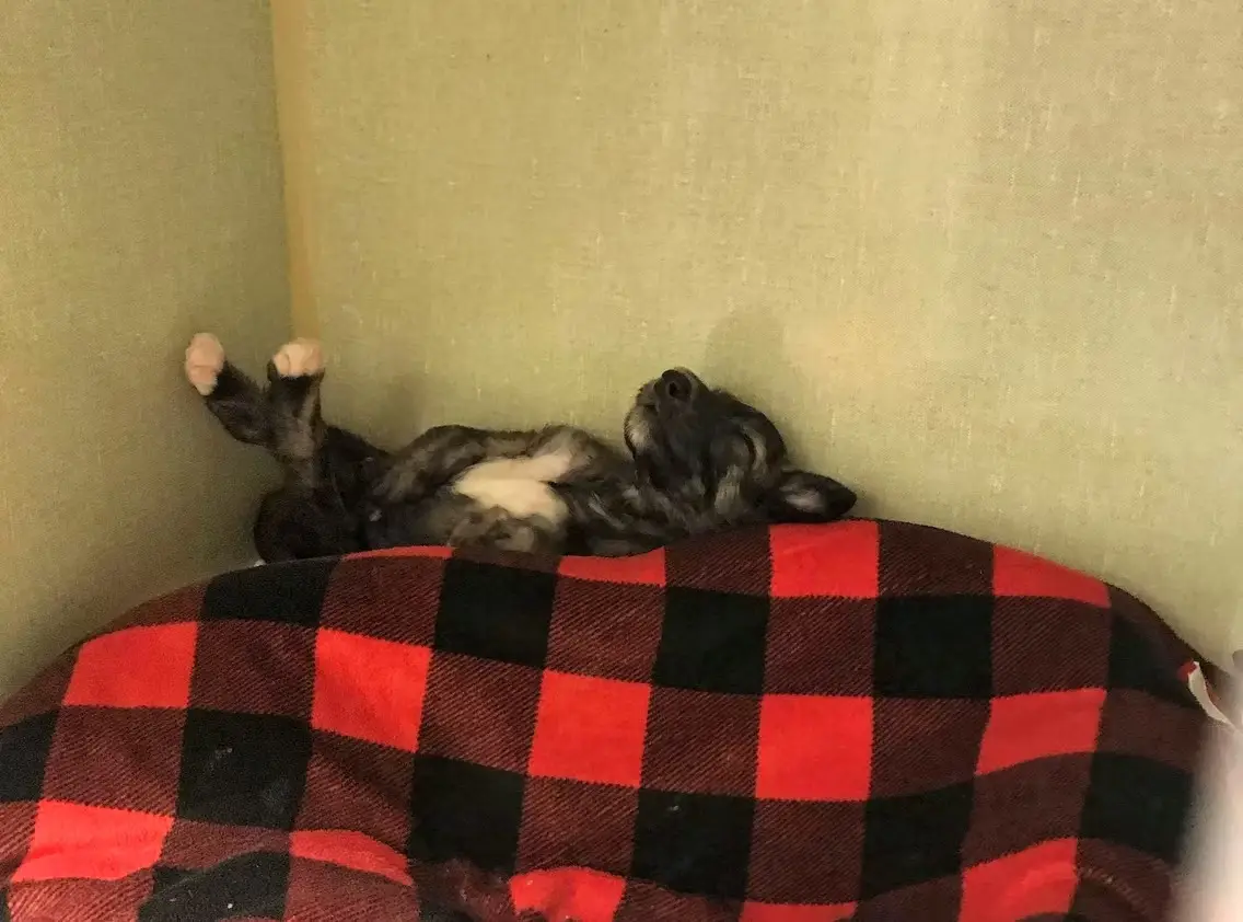 imgi_205_7b1c79_c8b9d9699e444d80863750dab9354ee0~mv2_d_3024_4032_s_4_2