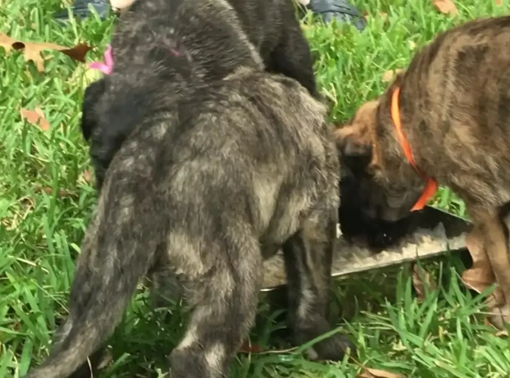 imgi_207_7b1c79_0a2abc9c2c5847eabc9b96601e8b9753f003