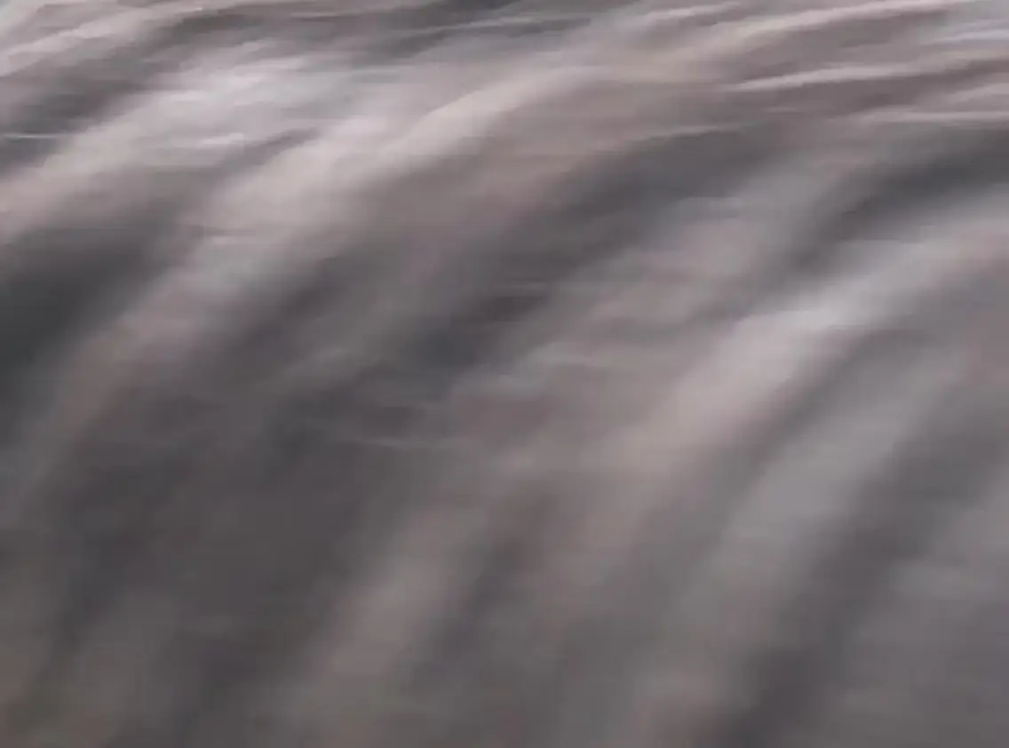 imgi_209_7b1c79_14b78af584b248d09e302a9681366ab0f003