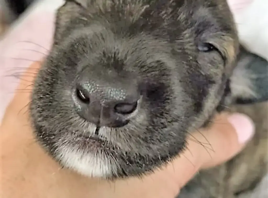 imgi_210_7b1c79_16579fe2ae9a4008a9068a35486df5d7~mv2