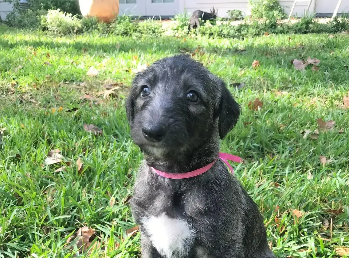 imgi_214_7b1c79_e1e0282c0fc846d2b31d58c12ab56a32~mv2_d_3024_4032_s_4_2