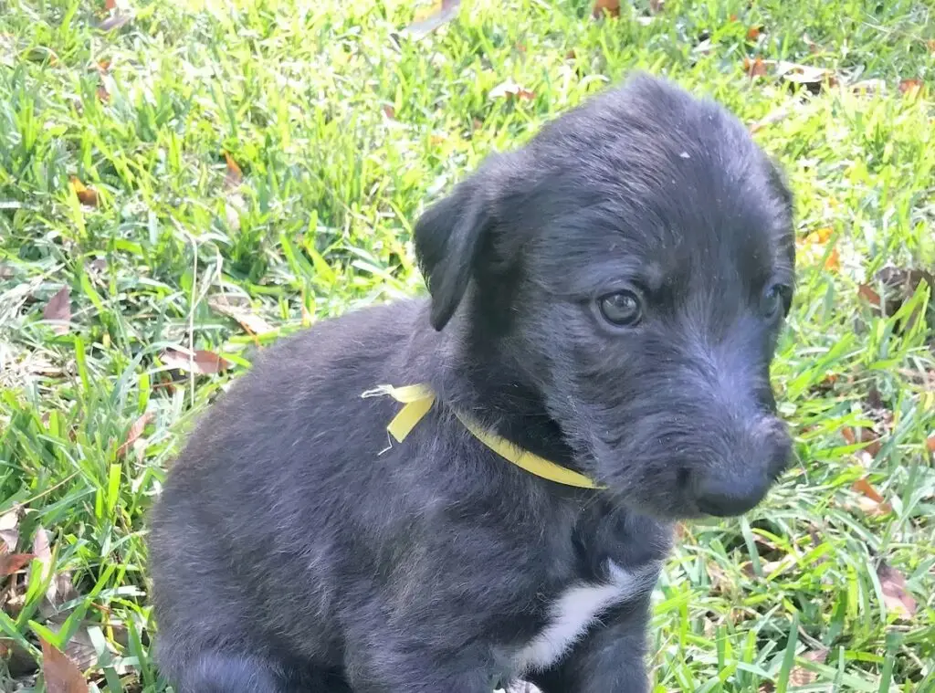 imgi_215_7b1c79_47e91f5a2f364b149d0d0e450a370bef~mv2_d_3024_4032_s_4_2