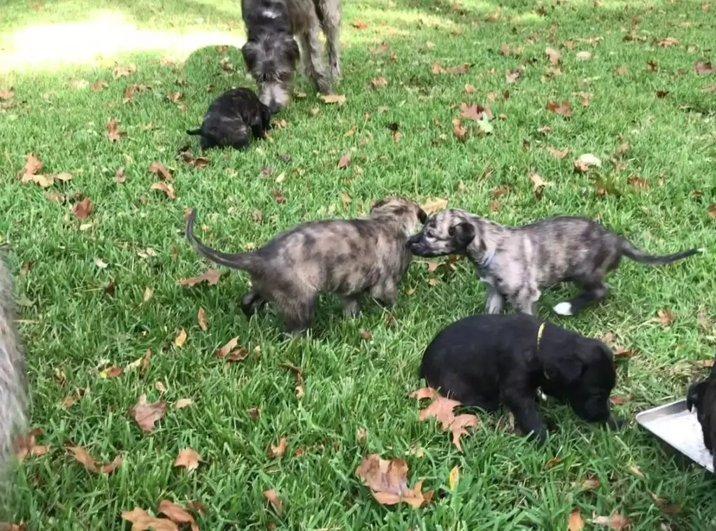 imgi_216_7b1c79_df8aa290be0f4da283992f366d1282b2f003