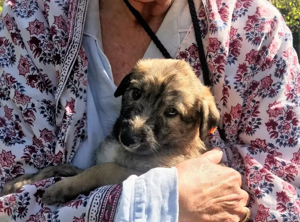 imgi_217_7b1c79_3479b71123064b75a9b9e06d83afab42~mv2_d_3024_4032_s_4_2