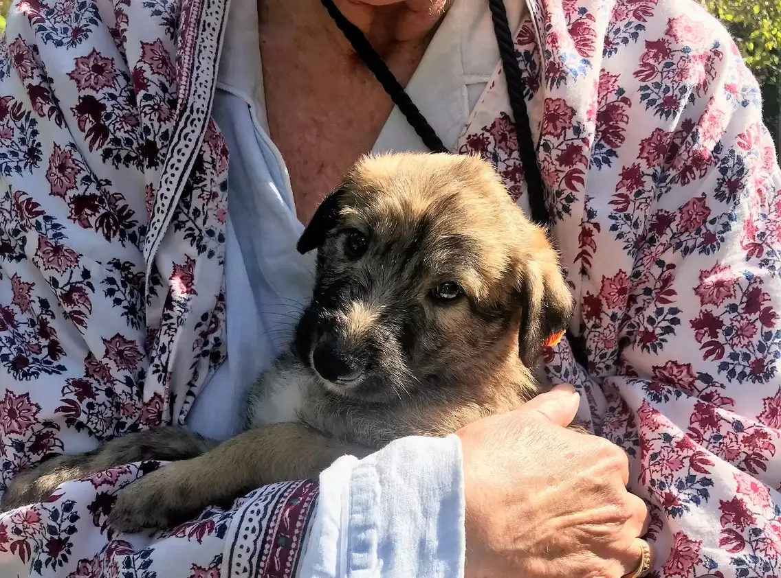 imgi_217_7b1c79_3479b71123064b75a9b9e06d83afab42~mv2_d_3024_4032_s_4_2