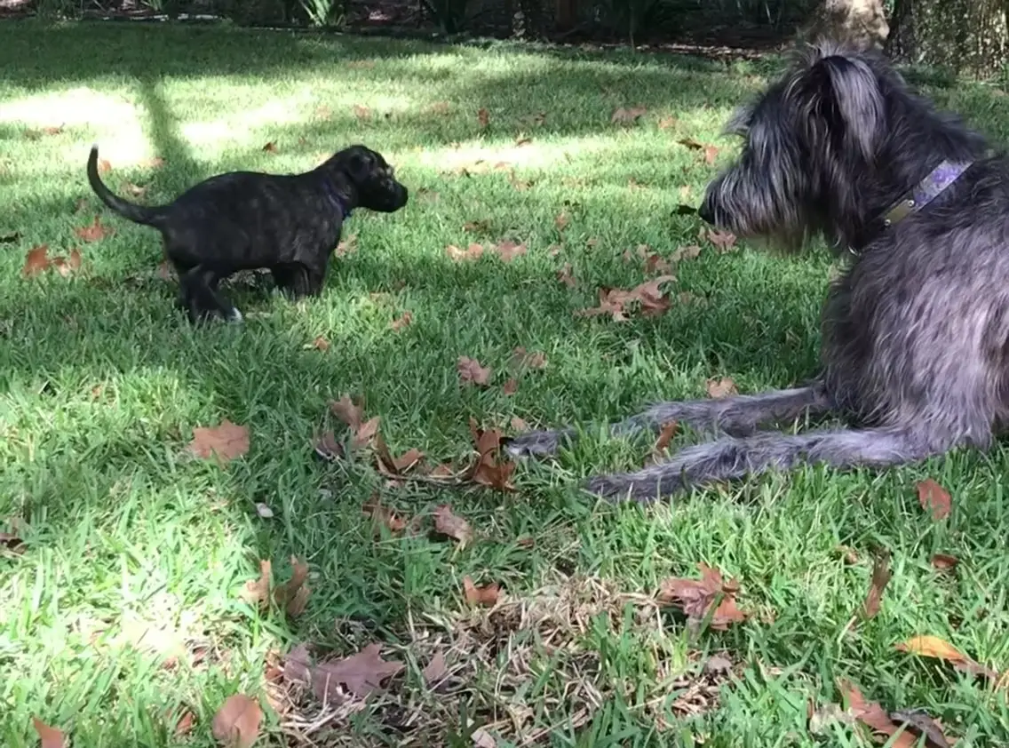 imgi_219_7b1c79_a42be56631d84a579c01a350996c2e0bf003