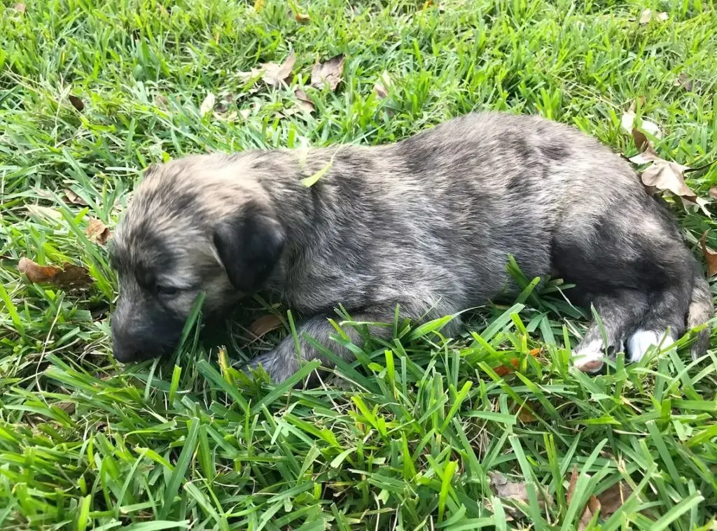 imgi_220_7b1c79_49e01e6e90374273aa2b987e8a52951e~mv2_d_4032_3024_s_4_2