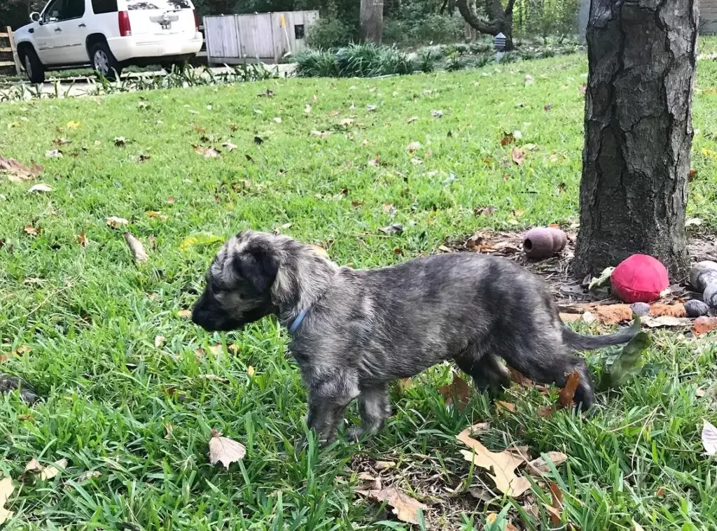 imgi_222_7b1c79_92f9399445c749089ed95de9ec29d78a~mv2_d_3024_4032_s_4_2