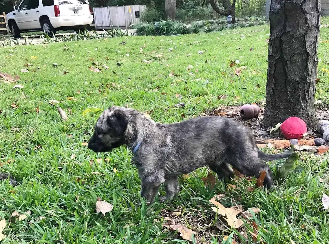 imgi_222_7b1c79_92f9399445c749089ed95de9ec29d78a~mv2_d_3024_4032_s_4_2