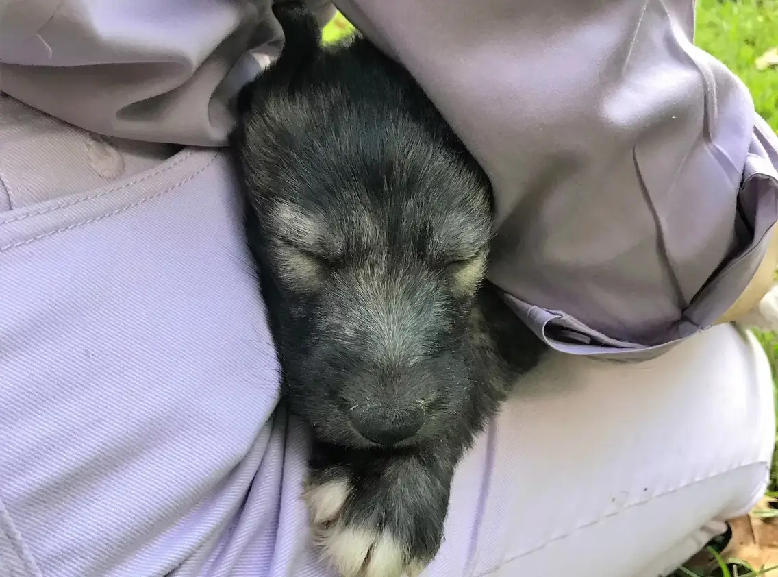 imgi_224_7b1c79_0e5a3c292fdf4e759cba751b44ef9730~mv2_d_3024_4032_s_4_2