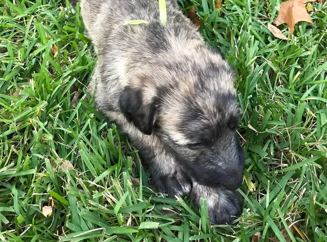 imgi_225_7b1c79_51b49d96dddd472a9d3567102b3ef4aa~mv2_d_3024_4032_s_4_2