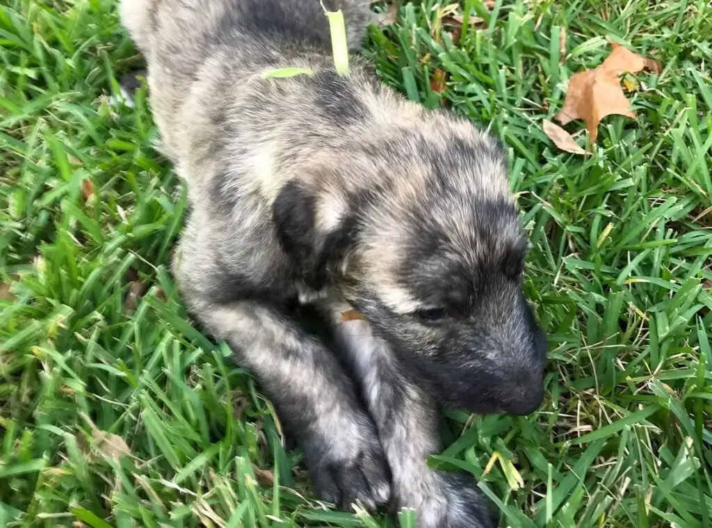 imgi_226_7b1c79_743e2ca5c61a41448a6cfc1061c6a96f~mv2_d_3024_4032_s_4_2