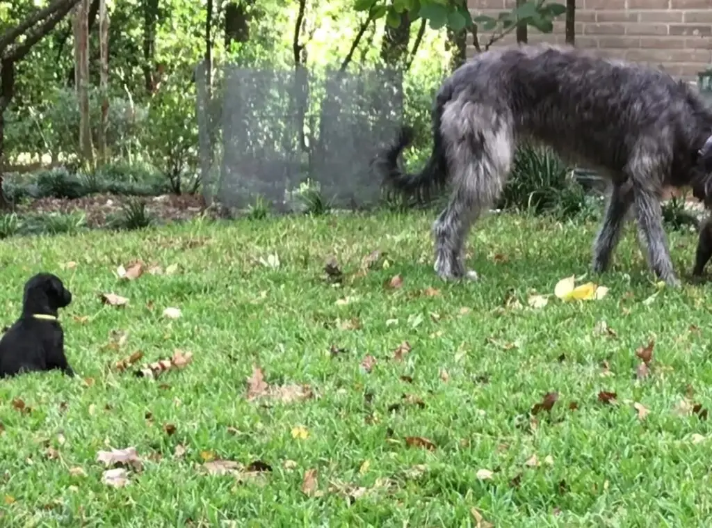 imgi_227_7b1c79_a62812d341d64bb9998c71fba4d2ba83f003