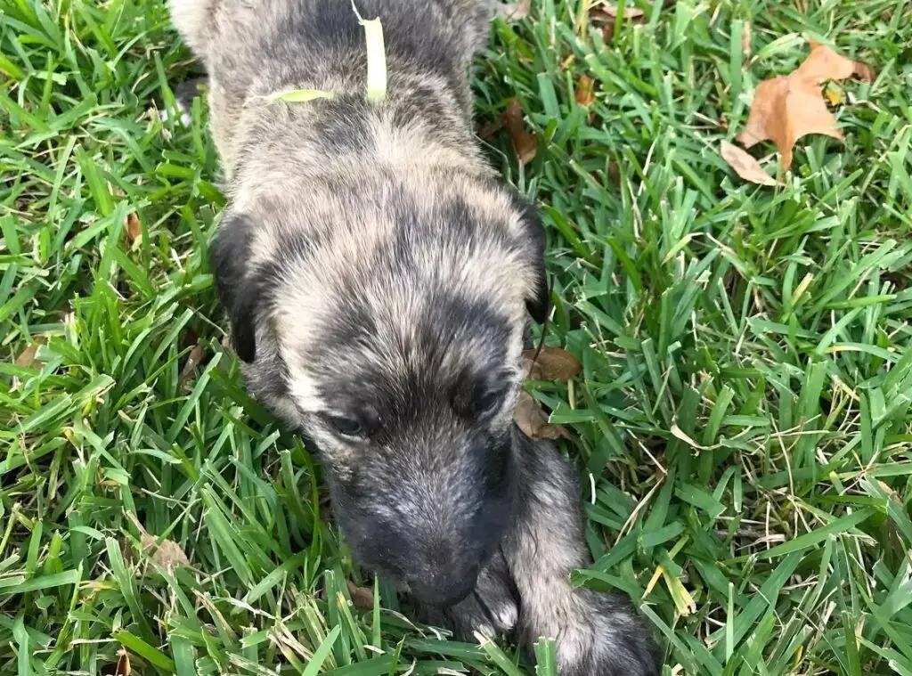 imgi_228_7b1c79_5957b67b9c64429483cce69ce729a01b~mv2_d_3024_4032_s_4_2