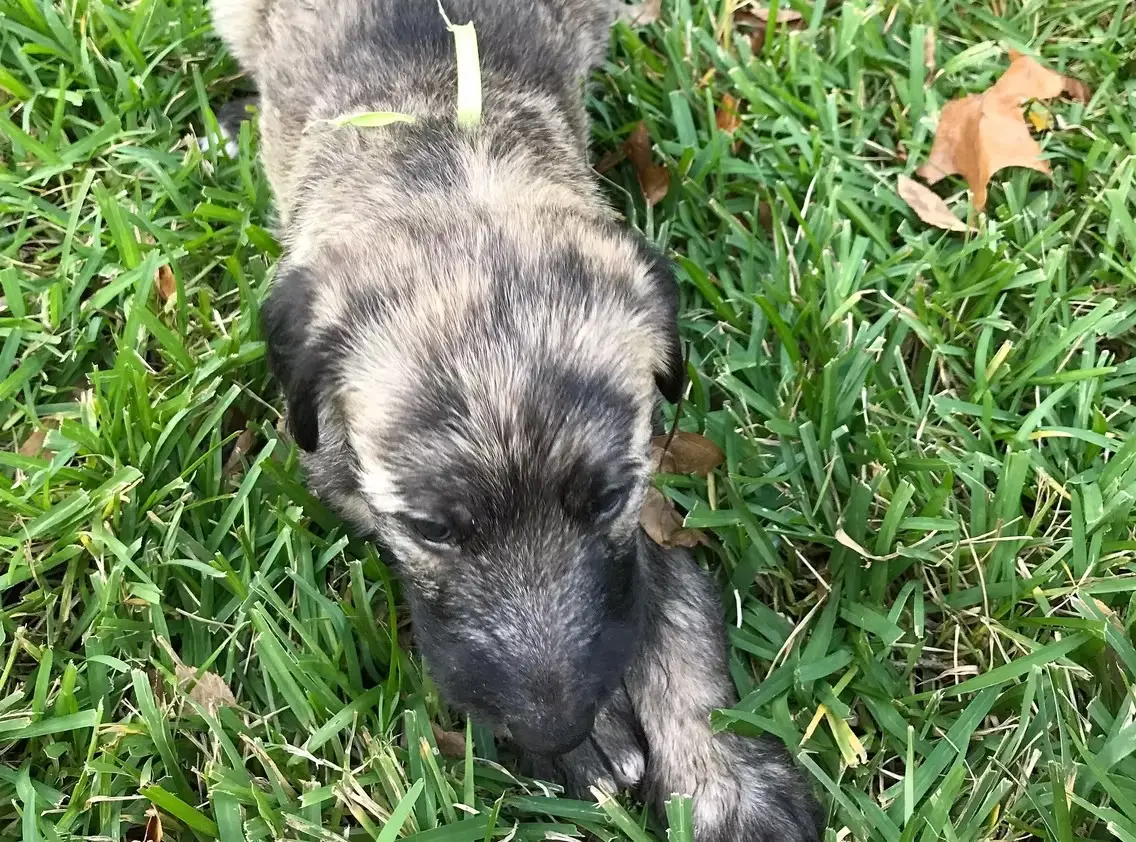 imgi_228_7b1c79_5957b67b9c64429483cce69ce729a01b~mv2_d_3024_4032_s_4_2