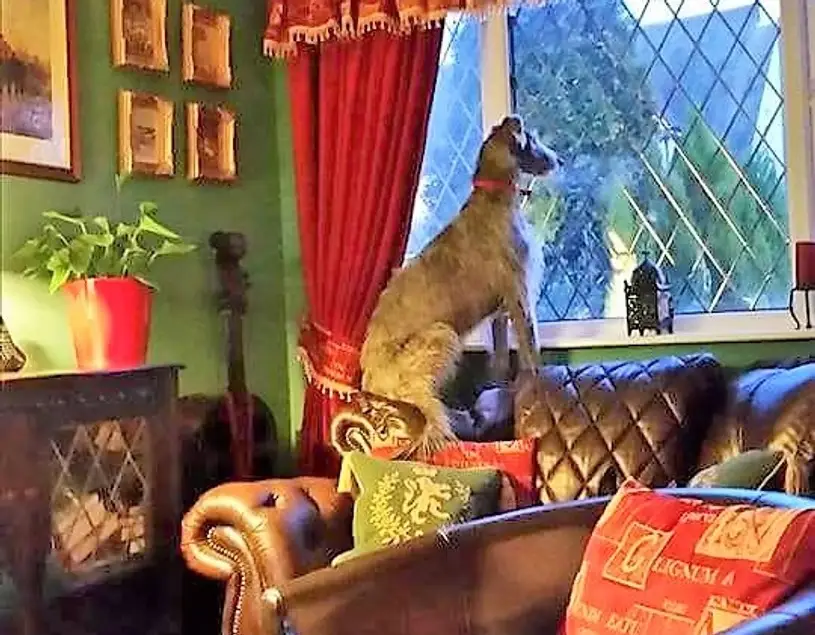 imgi_22_7b1c79_3cae241c2d5e4adcbf17d2d7e3528264~mv2