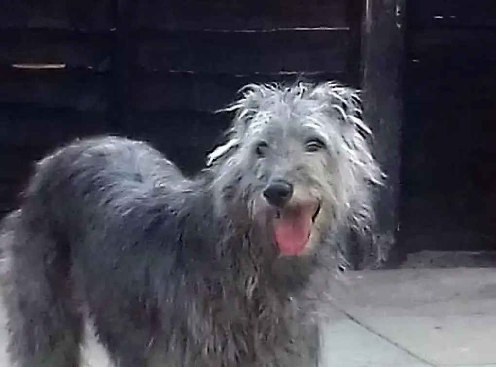 imgi_30_7b1c79_058cd1b937da4e9e863ee68472c589ed~mv2