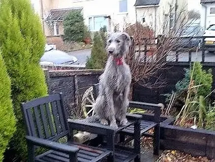 imgi_3_7b1c79_f6ad3c632fee4e75bb2a2b1e66025721~mv2