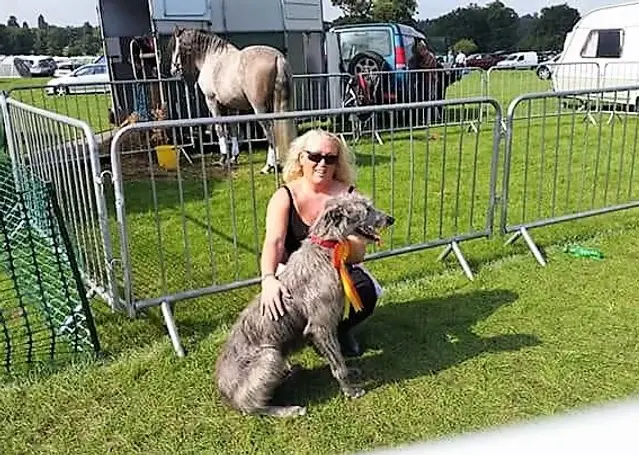 imgi_40_7b1c79_e17da5cae7434199b405207d87dc5801~mv2