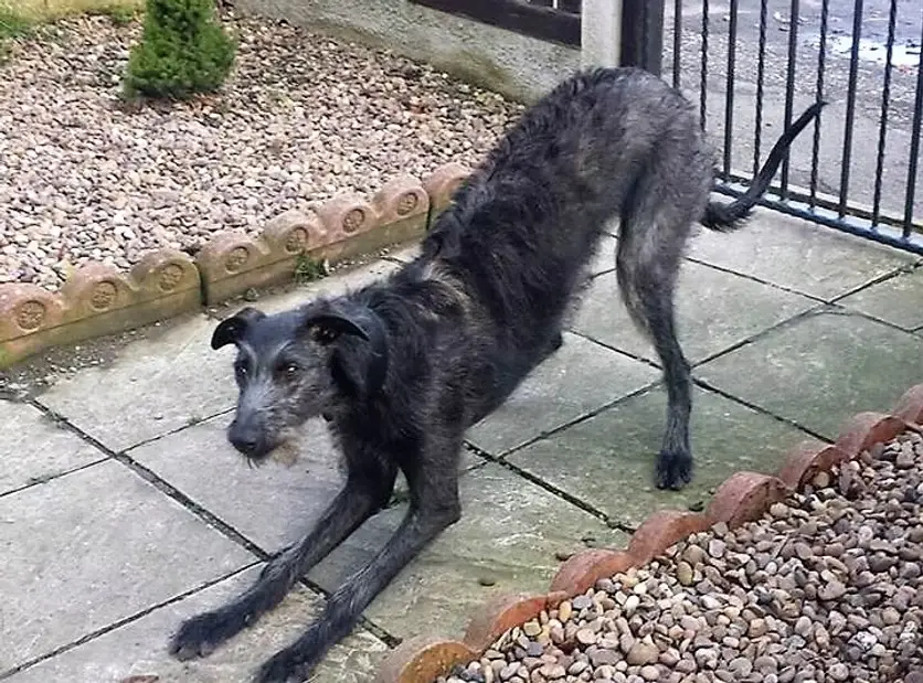 imgi_42_7b1c79_558c532af86d4b9f9a16ac283a379fed~mv2